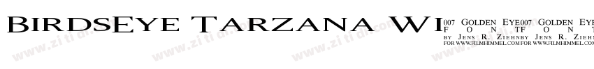 BirdsEye Tarzana Wi字体转换